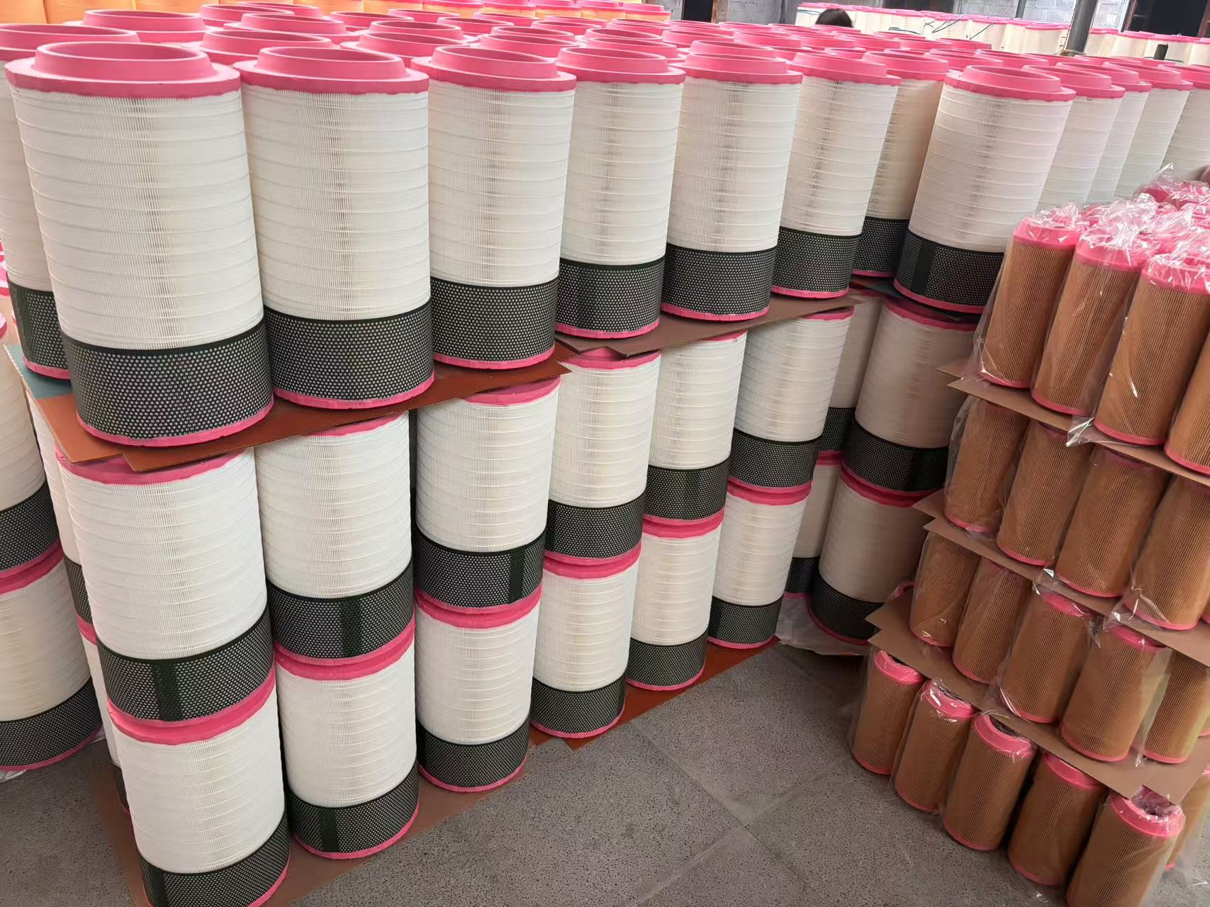 lady with a determined gaze